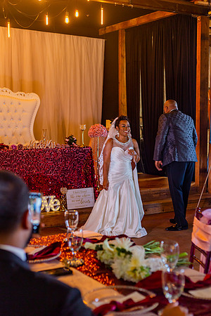 Reception-99